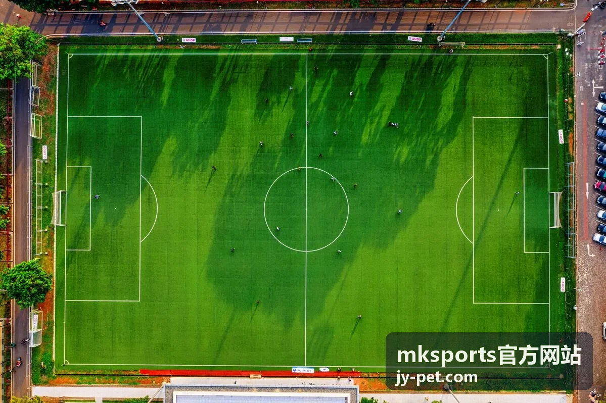 mksports官方网站汇总的国际赛事直播时间与入口